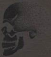 /album/calaveras/htm-134709-jpeg/