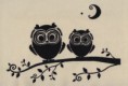 /album/animales/ptf-2066-jpeg/